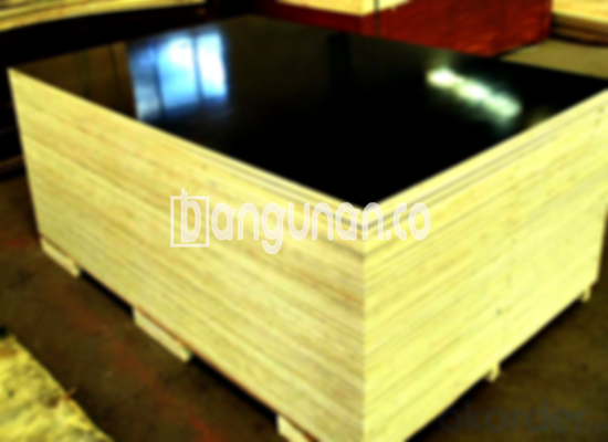 Jual Triplek Plywood Blockboard di Pondok Kopi Jakarta