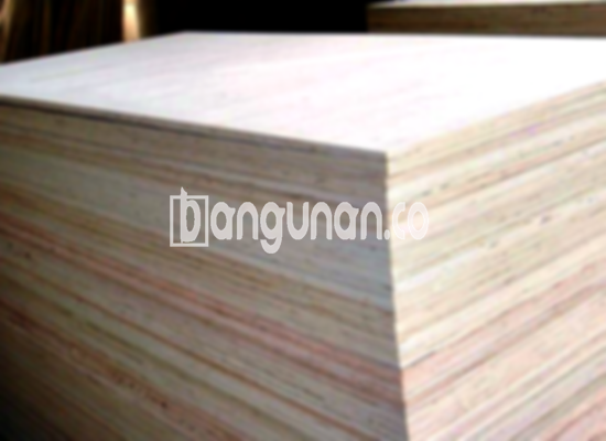 Jual Triplek Plywood Blockboard di Tegal Alur Jakarta