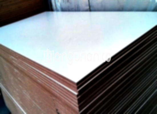 Jual Triplek Plywood Blockboard di Sindangrasa Bogor